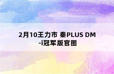 2月10王力市 秦PLUS DM-i冠军版官图